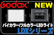 GODOX LDX