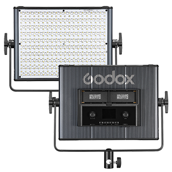 LDX
