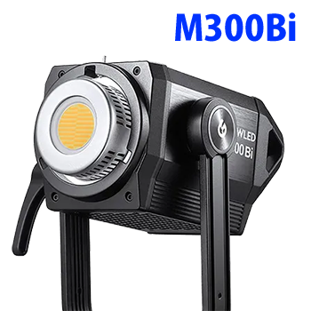M300Bi