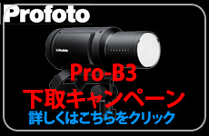 Profoto Pro-B3