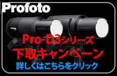Profoto Pro-D3