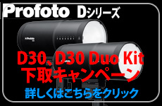 Profoto D30Ly[