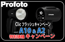 Profoto A Sale