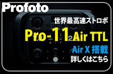 Pro-11