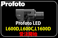 Profoto LED