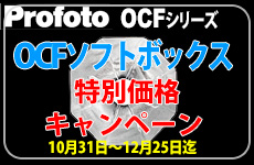 OCF SoftBox Campaing