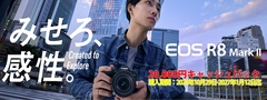 20261029-CANON-EOS_R8mkII_CashBack_banner